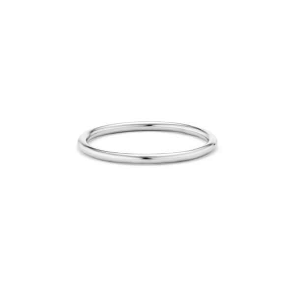 Platinum Buffer Band - Image 3
